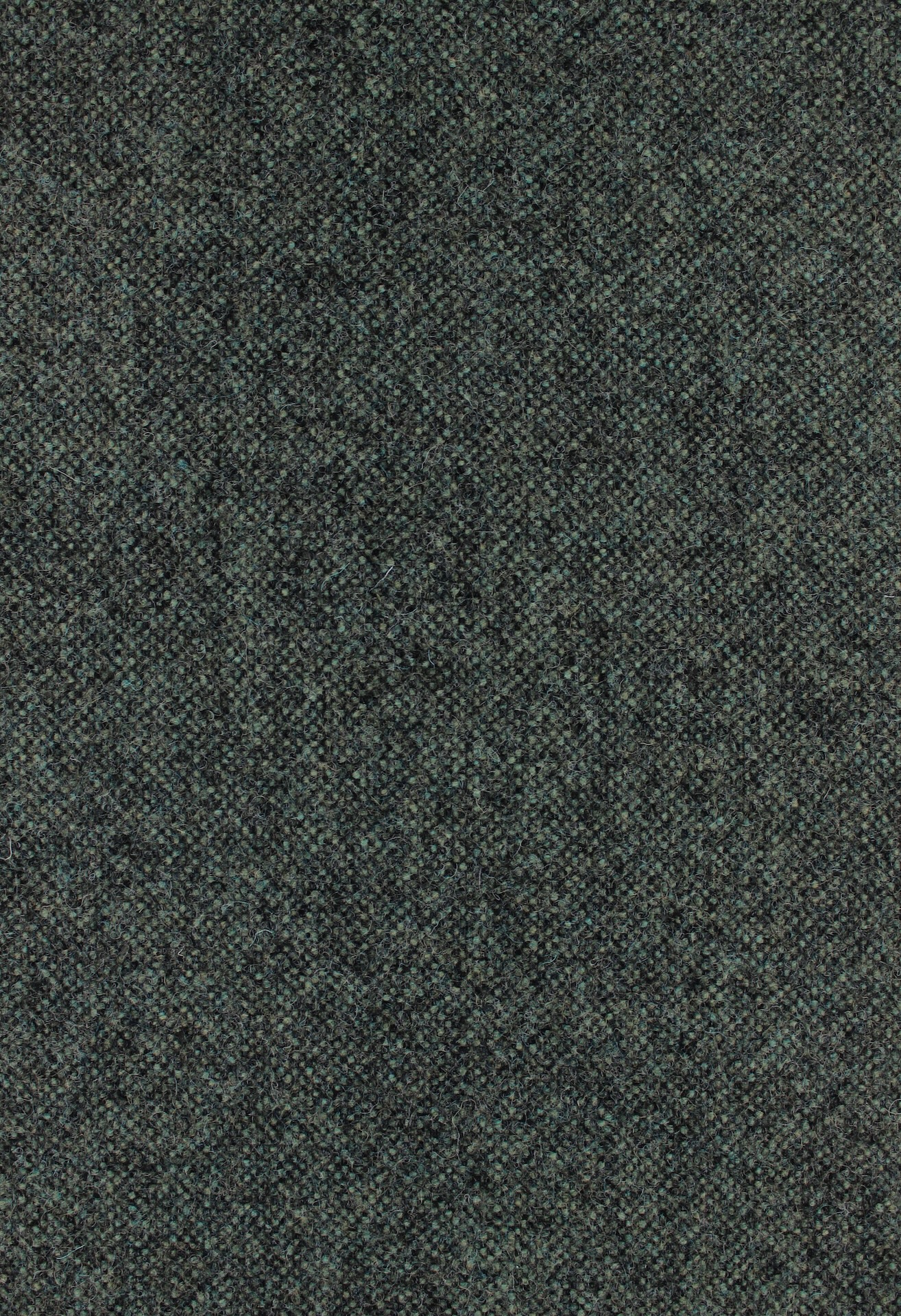 qashqai72dpi790forest
