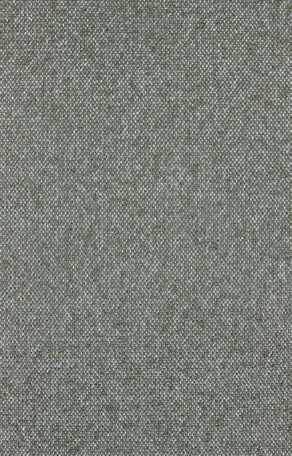 remus72dpi765olive