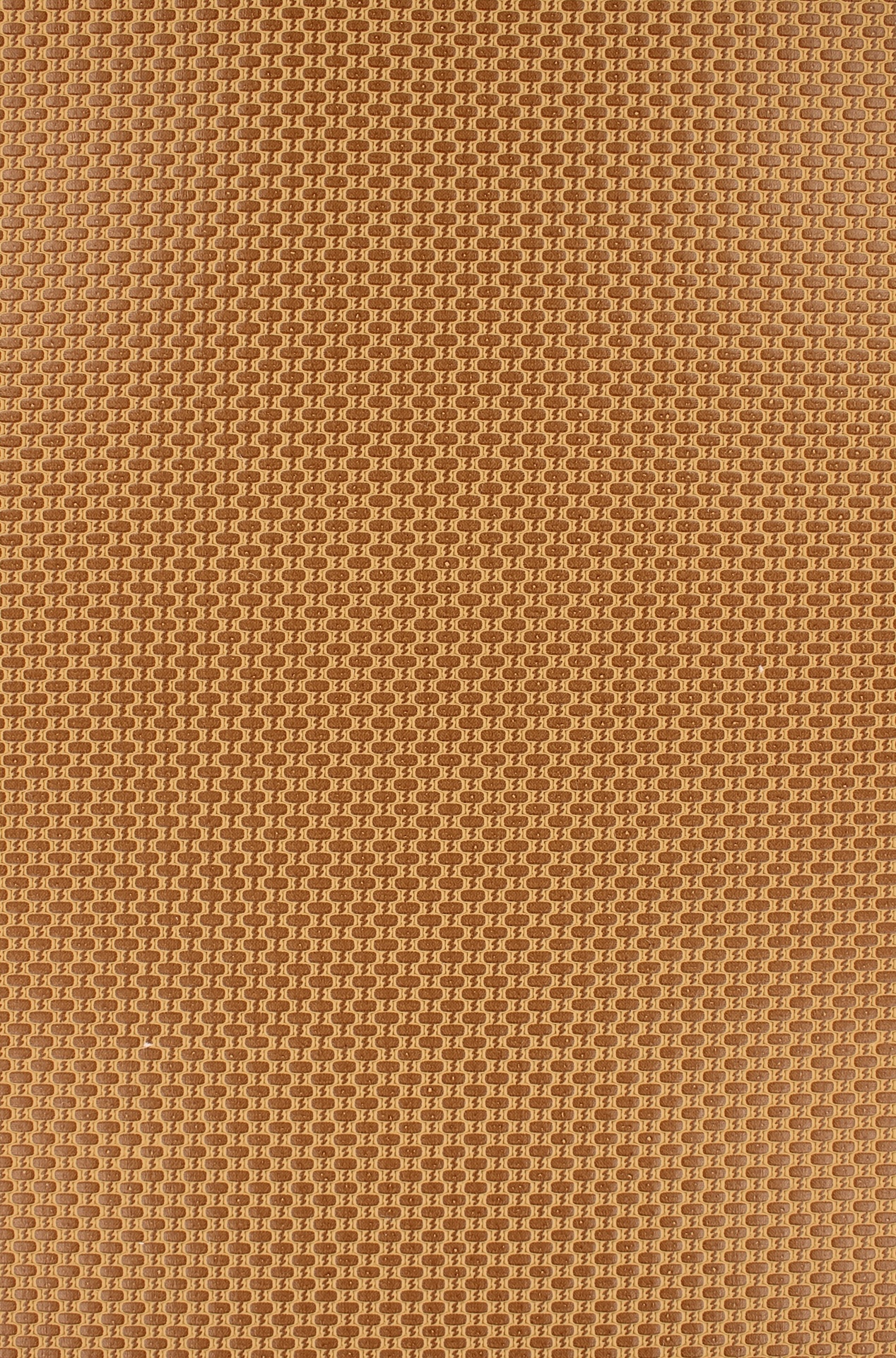rotan72dpi360amber