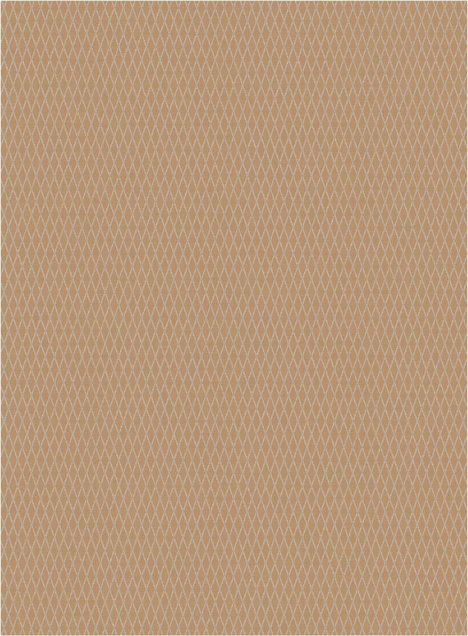 Opuntia 3034c174450 (280×380)