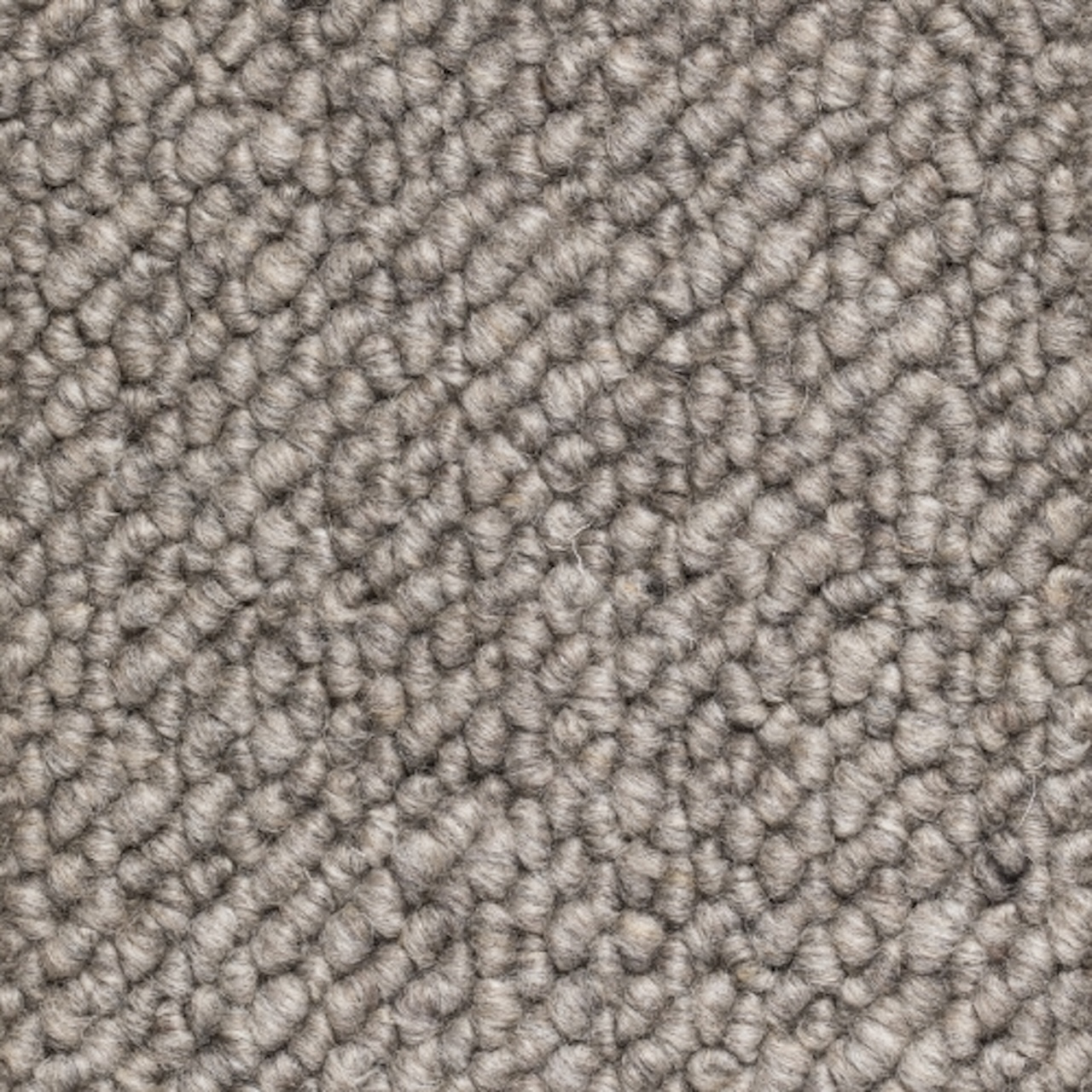 teddy 130 ash sample