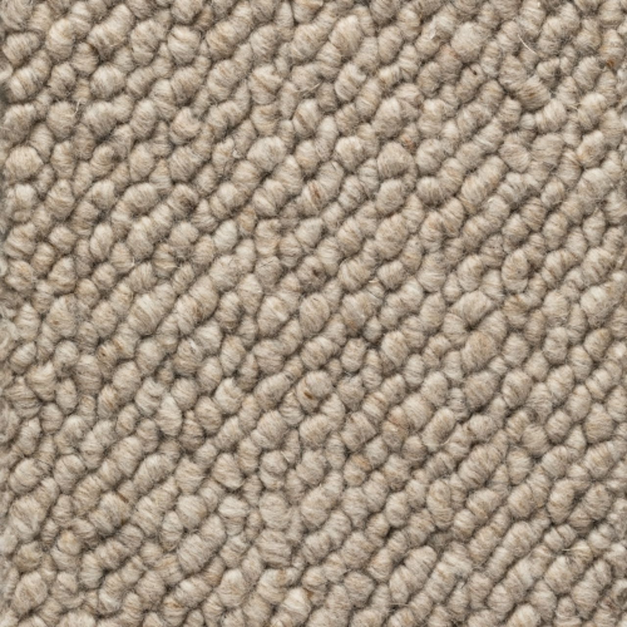 teddy 240 sand sample